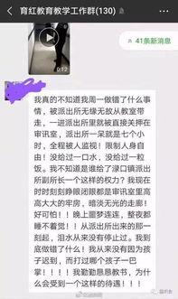社会热点事件视频,XX事件深度解析