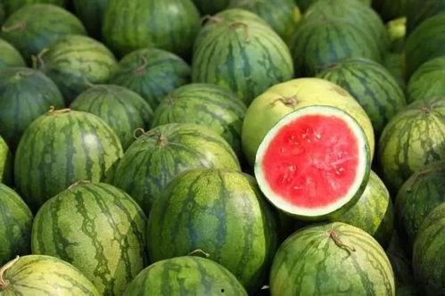全球更新 热点吃瓜,最新“吃瓜”资讯大盘点