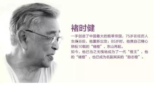 潜规则二血泪代言 今日吃瓜文案