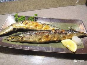 网红黑料牛奶秋刀鱼,揭秘网红背后的黑料真相