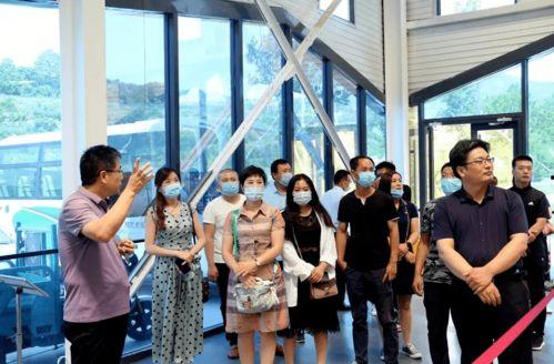 临朐网红大玲子事件 拍热点爆料,揭秘背后真相，热点爆料引关注